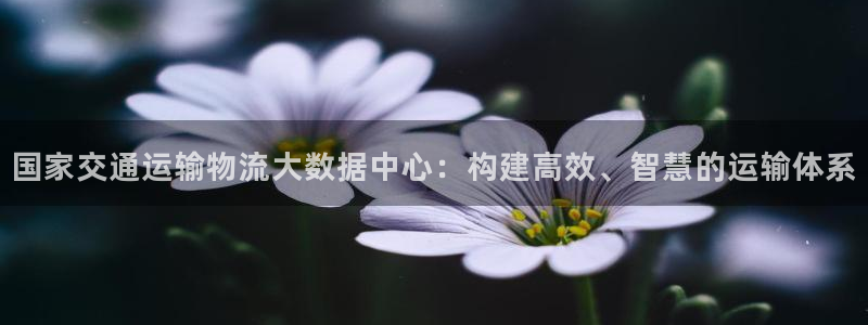 fh至尊平