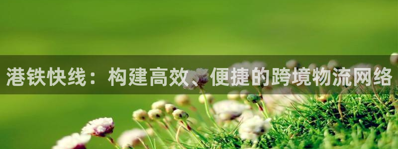 fh至尊平台多少年了